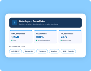 data-layer-snowflake 2