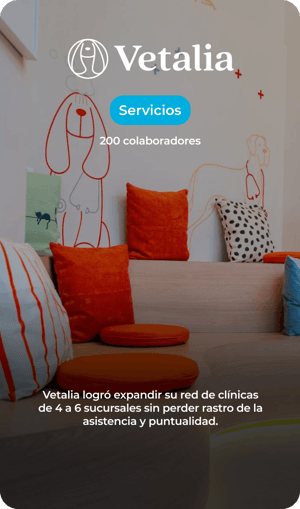 Caso - Vetalia