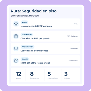 Contenido organizado